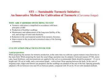 STI — Sustainable Turmeric Initiative - The System of Rice ...