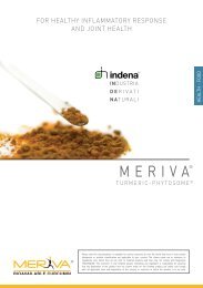 Meriva - turmeric-Phytosome - Indena