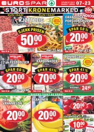 Dgruppen uke25 tirsdag harstad