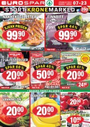 Dgruppen uke25 torsdag finnsnes