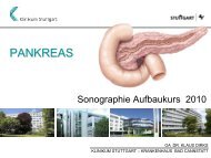 Pankreas Aufbaukurs - Stuttgarter Sonokurse