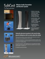 Wireless Audio Transmitter and Receiver System - SoundCast