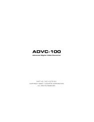 Canopus ADVC-100 Signal Converter - Fine Arts
