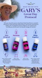 Gary's Great Day Protocol Infographic
