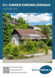 BR-Lostorf.pdf