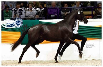 Schwarze Magie - Der Trakehner