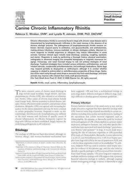 Canine Chronic Inflammatory Rhinitis