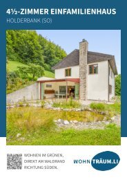 BR-Holderbank.pdf