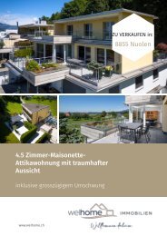 BR-Nuolen.pdf