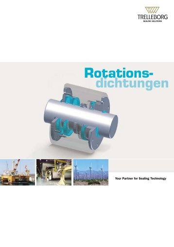 Rotations- dichtungen