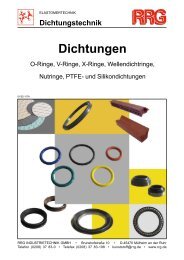 Katalog Dichtungen (PDF) - RRG Industrietechnik GmbH