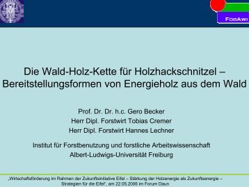 Die Wald-Holz-Kette für Holzhackschnitzel – Bereitstellungsformen ...