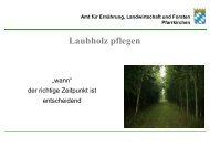 Laubholzpflege - Amt für Ernährung, Landwirtschaft und Forsten ...