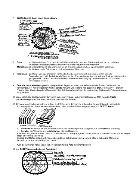 Löser zu den Prüfungsfragen - Tischler-ole-welzel