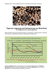 Tipps zur Lagerung und Verbrennung von Brennholz - Amt für ...