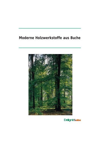 Moderne Holzwerkstoffe aus Buche - Delignit