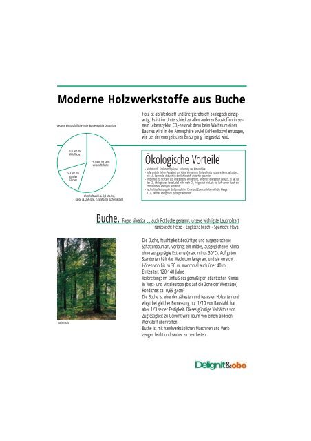 Moderne Holzwerkstoffe aus Buche - Delignit