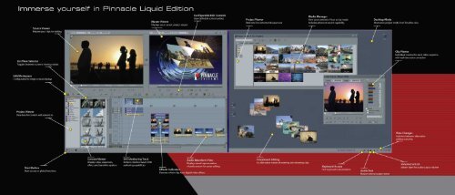 Liquid Edition Brochure - Pinnacle