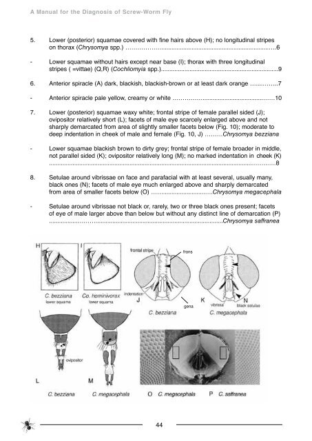 Manual for Diagnosis of Screw-worm Fly - xcs consulting