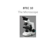 Compound Microscope Care and Storage - CCSF Web Page