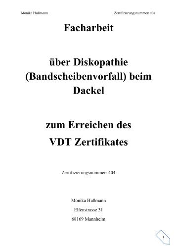 Facharbeit über Diskopathie - Tierheilpraxis "vier-pfoten-gesund"