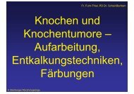 Fr. Fuhr-Thiel, PD Dr. Scheil-Bertram - auf der Homepage der ...