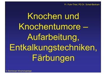 Fr. Fuhr-Thiel, PD Dr. Scheil-Bertram - auf der Homepage der ...