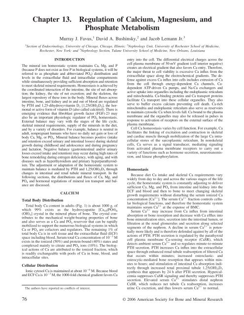 Chapter 13 Regulation Of Calcium Magnesium And Phosphate