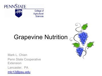 Grapevine Nutrition