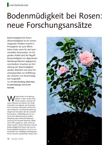 Bodenmüdigkeit bei Rosen: neue Forschungsansätze - GWDG