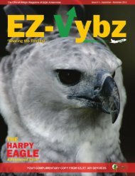 EZ-VYBZ - In-flight Magazine of EZJET - Rock View Lodge