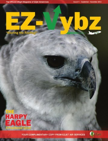 EZ-VYBZ - In-flight Magazine of EZJET - Rock View Lodge