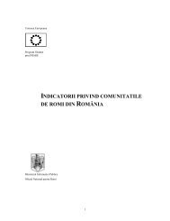 indicatorii privind comunitatile de romi din românia - MIRIS - Minority ...