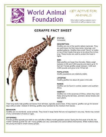 GIRAFFE FACT SHEET - World Animal Foundation