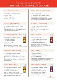 Thieves Household Cleaner Recipes Flyer