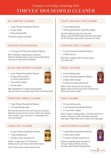 Thieves Household Cleaner Recipes Flyer