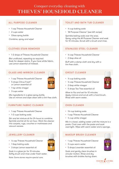 Thieves Household Cleaner Recipes Flyer