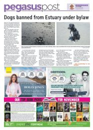 Pegasus Post: November 06, 2025