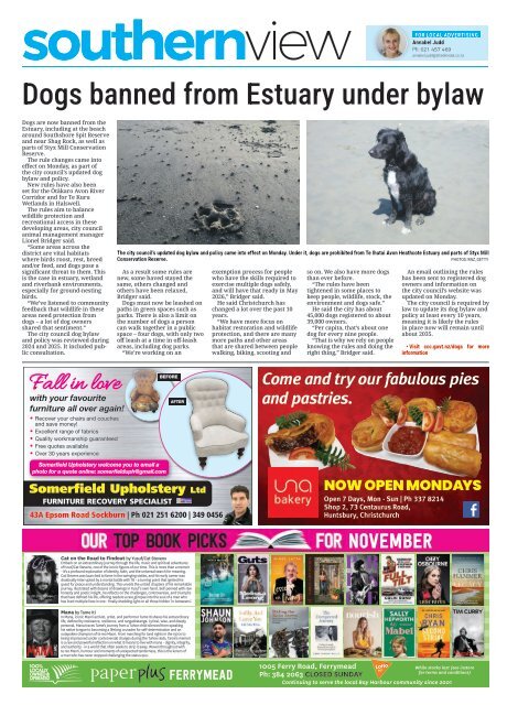 Southern View: November 06, 2025