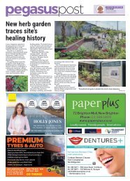 Pegasus Post: November 13, 2025