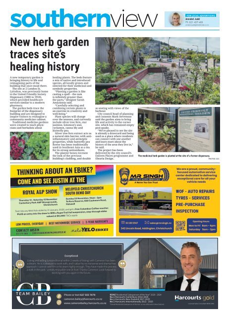 Southern View: November 13, 2025