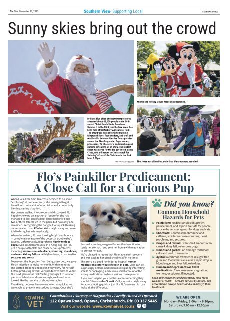 Southern View: November 27, 2025