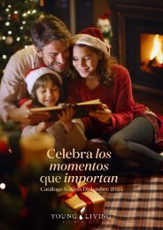 Catálogo festivo: Diciembre 2025