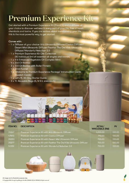 Premium Experience Kit Flyers