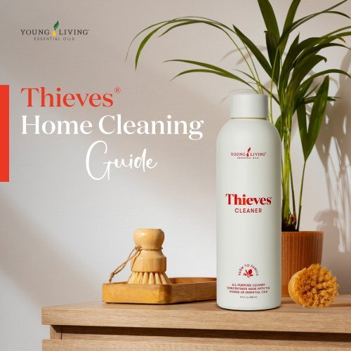 Thieves Guide
