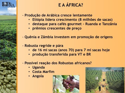 Palestra O Futuro da cafeicultura brasileira