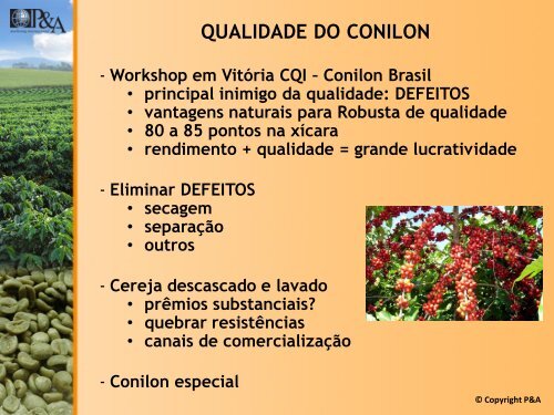 Palestra O Futuro da cafeicultura brasileira