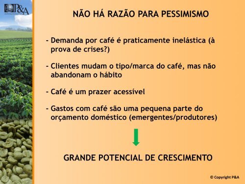 Palestra O Futuro da cafeicultura brasileira