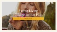 Leadership Bonuses - Brand Partner Training - Compensation Plan