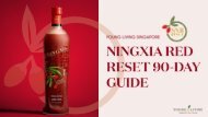 YLSG NingXia Red Reset Guide